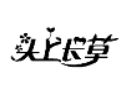 頭上長草